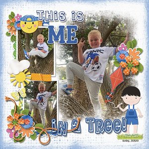 2026_01_This-is-ME-in-a-Tree.webcopy.jpg