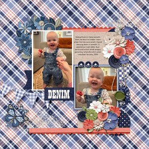 Denim Spring