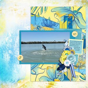 Pieces Of The Day Temp #3-Miss Fish.jpg