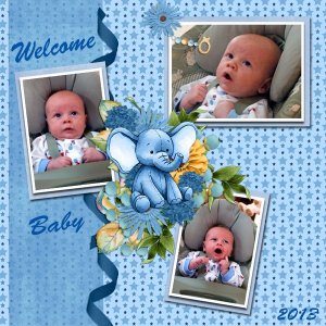 Welcome Baby Noah