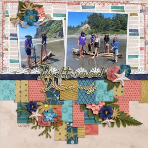 Driftwood-Dreams.jpg