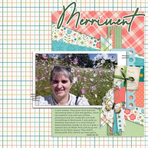 2026-03-30_Merriment