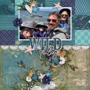Wild-Shore.jpg