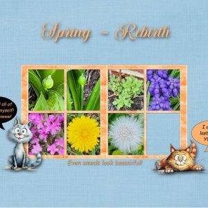 Spring Rebirth