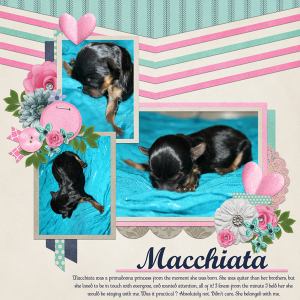 Macchiata