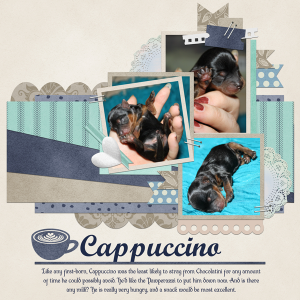 Cappuccino