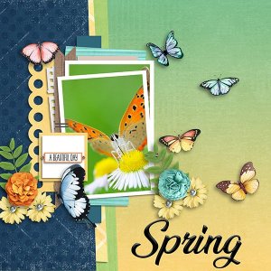 Spring.jpg