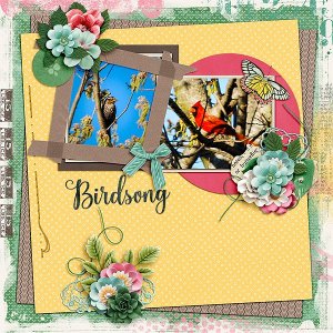326Birdsong_web.jpg