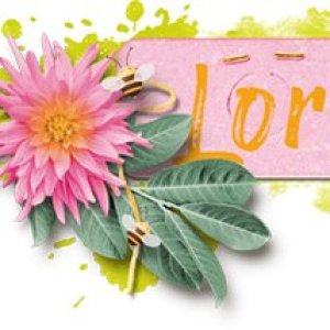 Apr-2026-Sig.jpg