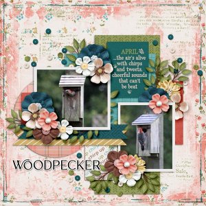 Woodpecker