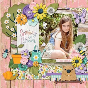 Spring in Bloom