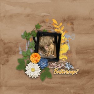 DA_2026March_BrandiinaBox.jpg