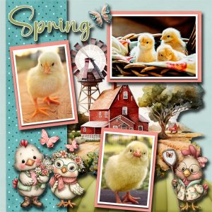 Spring Chicks