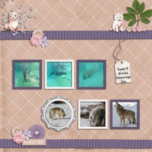Seals and Wolves