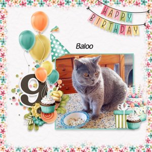 Picture perfect birthday
