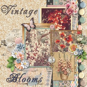 VintageBlooms_ollitko_600.jpg