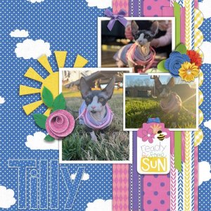 Tilly