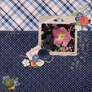 2026-03_TMS_DenimSpring.jpg