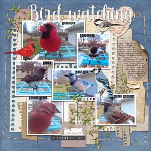 03-29-26 Bird Watching.jpg