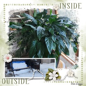 Inside. Outside.