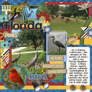 Florida-BIrds-2cschneider-DIU22pg1left.jpg