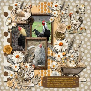 Barnyard Birds