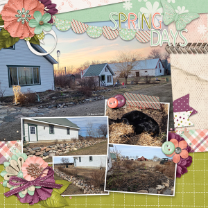 Spring Days