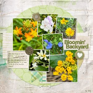 Bloomin' Backyard