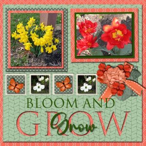Bloom-&-Grow