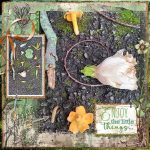 slug-enters-flatlay-webv.jpg