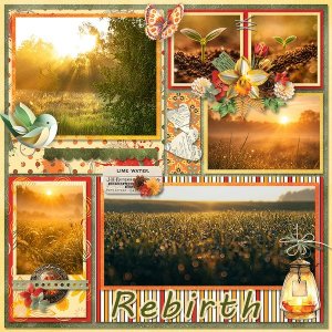 Rebirth_ollitko_600.jpg