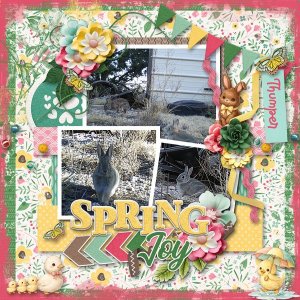 Spring Joy