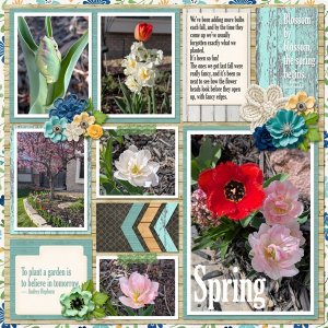 2026-04_cap_2025March_MFish-BBSpringPockets01_04.jpg