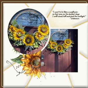Sunflower Season