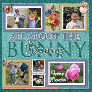 All about the Bunny