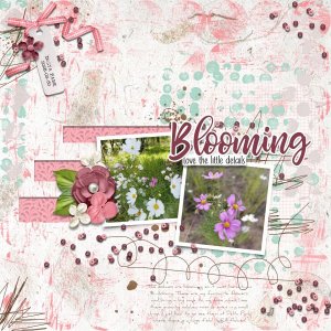 2026-03-30_Blooming