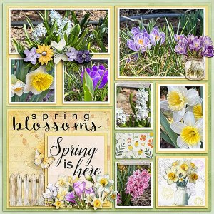 Spring-Flowers.jpg