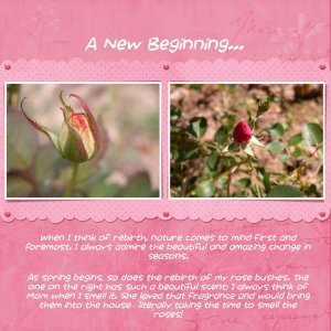 A New Beginning...
