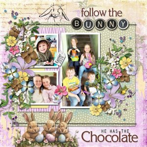 Follow the Bunny