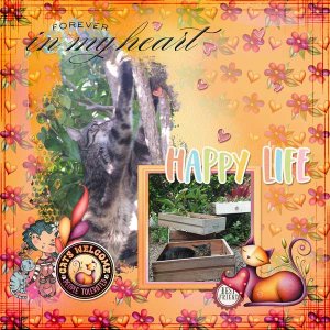 Cat-person-furever-webv.jpg