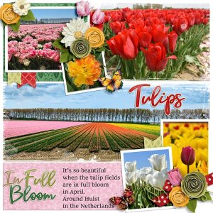 Inspiration chal Tulips