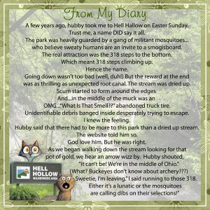 From-My-Diary.jpg