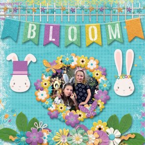 Bloom
