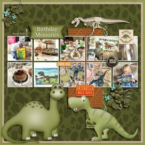 Birthday Memories