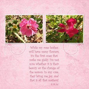 First Roses