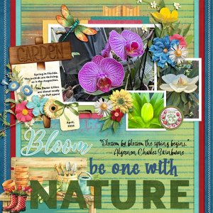 april-blooms-Mfish_ExpeditionNature_03-copy.jpg