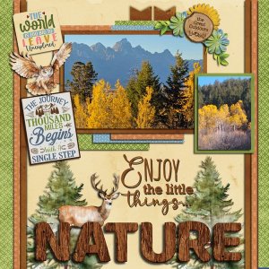 Nature
