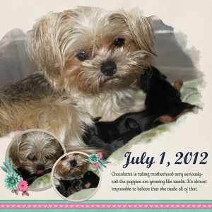 July 1 2012
