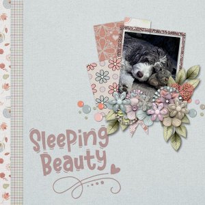Sleeping Beauty
