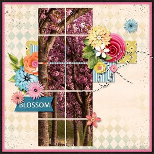 Blossom